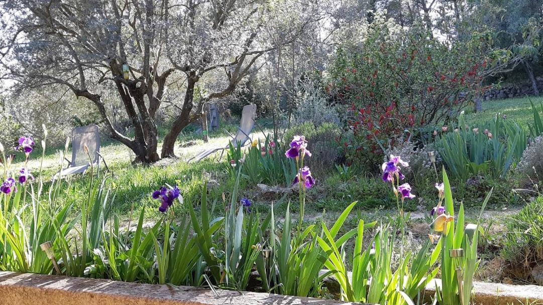 Loucabanon Var Draguignan Exteriör bild